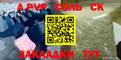 амф Шахты